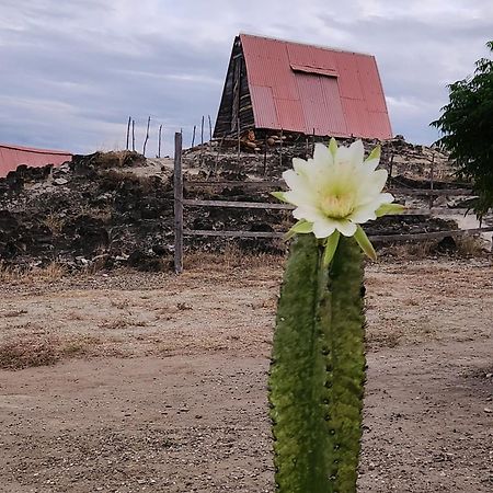 Mana Star Lounge Hotel ビジャビエハ エクステリア 写真